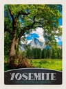 Holzschild 40x30 cm Yosemite Amerika Natur Bäume Gebirge Bildmotiv Reisemotiv USA