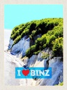 Holzschild 40x30 cm Binz Deutschland Natur Strand Wälder Bildmotiv Reisemotiv Abenteuer Reisen