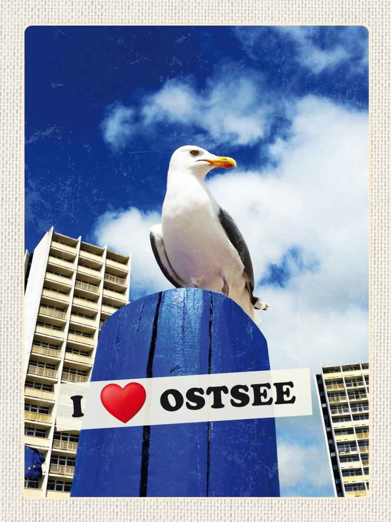 Holzschild 40x30 cm Ostsee Möwen Hochhaus Strand Bildmotiv Reisemotiv Abenteuer Reisen