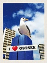 Holzschild 40x30 cm Ostsee Möwen Hochhaus Strand Bildmotiv Reisemotiv Abenteuer Reisen