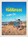 Holzschild 40x30 cm Hiddensee Fahrrad Strand Meer Bildmotiv Reisemotiv Deutschland