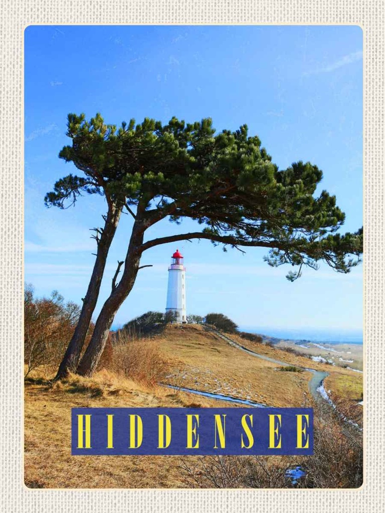 Holzschild 40x30 cm Hiddensee Leuchtturm Baum Weide Wiese Bildmotiv Reisemotiv Europa