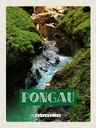 Holzschild 40x30 cm Pongau Österreich Wasserfall Natur Bildmotiv Reisemotiv Europa