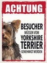 Holzschild 40x30 cm Tiere Achtung Yorkshire Terrier Tier Haustier