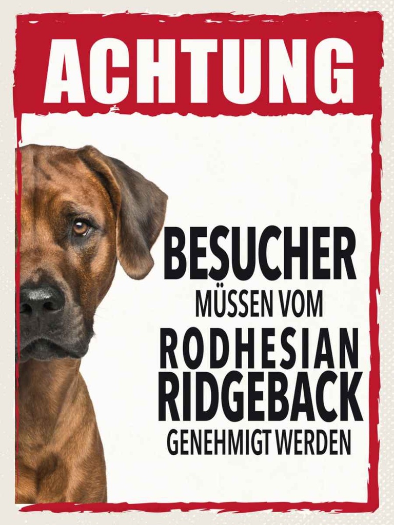Holzschild 40x30 cm Tiere Achtung Rodhesian Ridgeback Tier Haustier