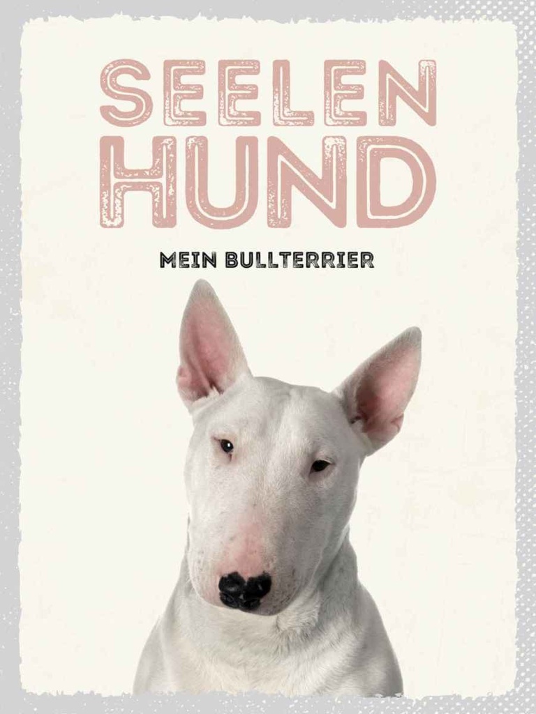 Holzschild 40x30 cm Seelen Hund mein Bullterrier Tier Haustier