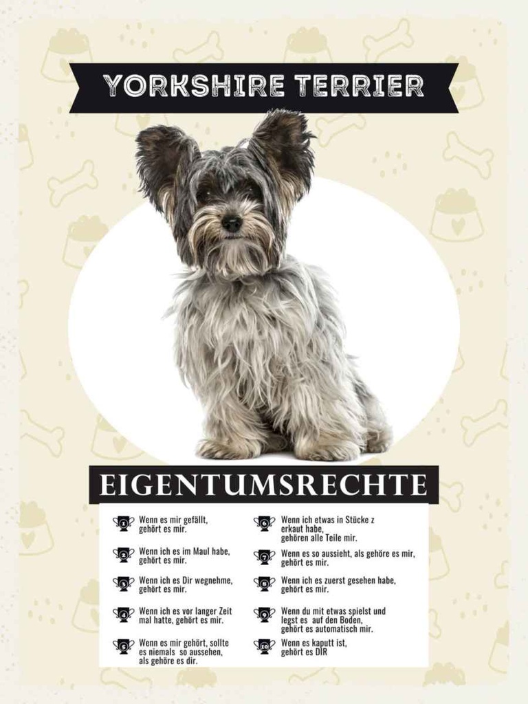 Holzschild 40x30 cm Yorkshire Terrier Eigentumsrechte Tier Haustier