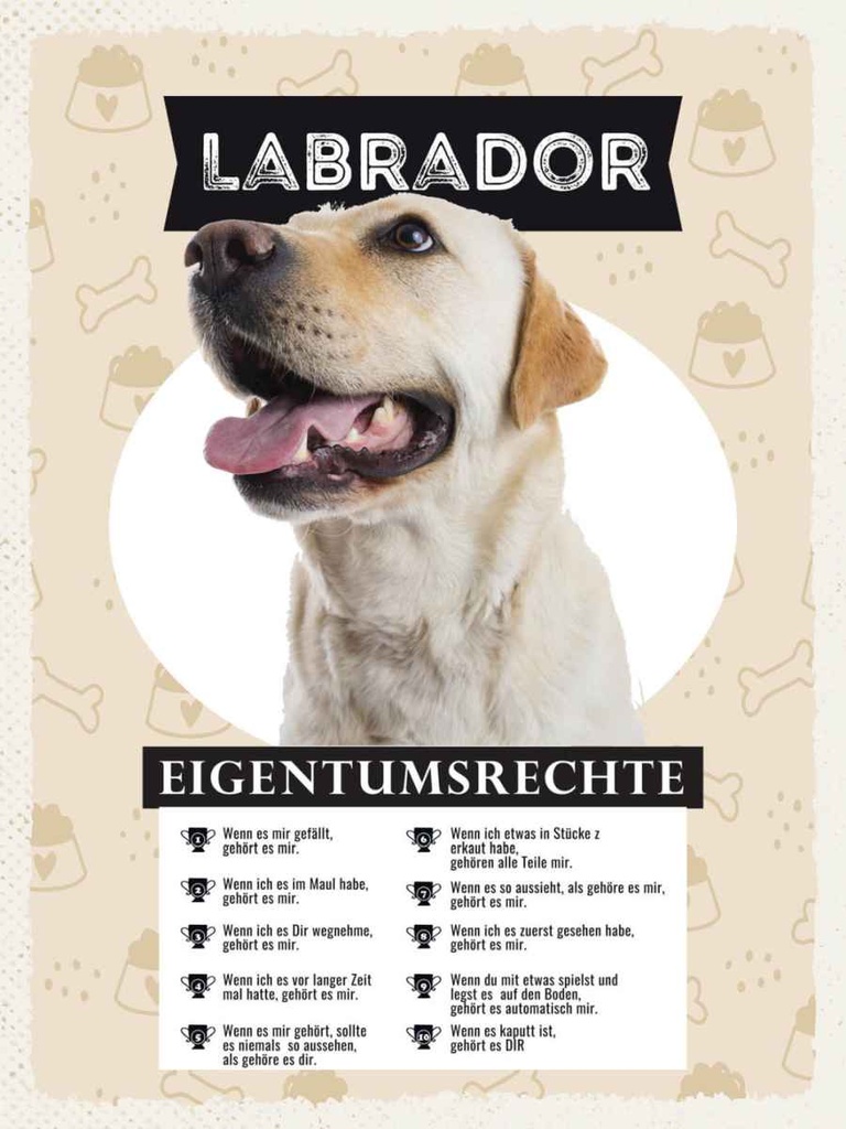 Holzschild 40x30 cm Labrador Eigentumsrechte Tier Haustier