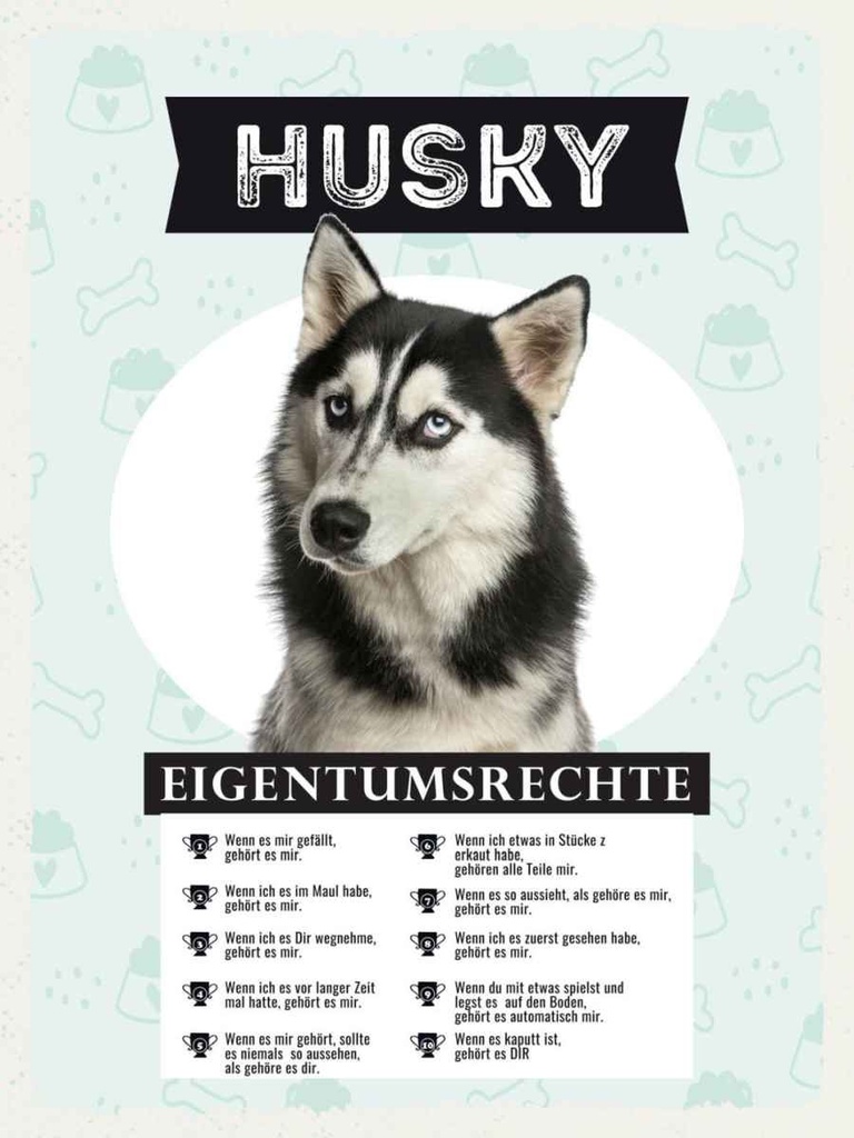 Holzschild 40x30 cm Husky Eigentumsrechte Tier Haustier