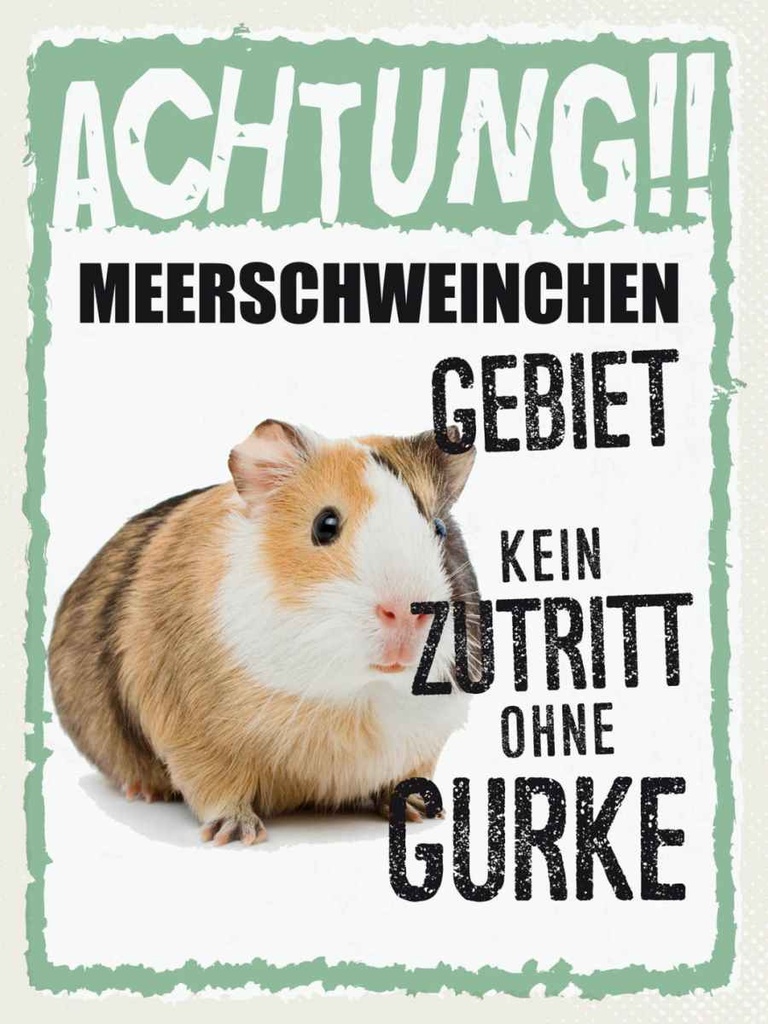 Holzschild 40x30 cm Tiere Achtung Meerschweinchen Tier Haustier