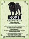 Holzschild 40x30 cm Tiere Mops Hausordnung Hunde Tier Haustier