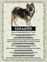 Holzschild 40x30 cm Tiere Eurasier Hausordnung Hunde Tier Haustier