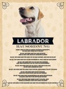 Holzschild 40x30 cm Tiere Labrador Hausordnung Hunde Tier Haustier