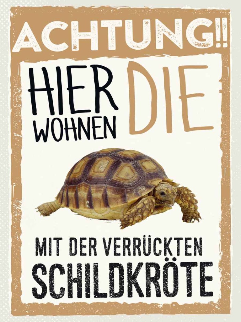 Holzschild 40x30 cm Tiere Achtung hier kröte Tier Haustier
