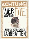 Holzschild 40x30 cm Tiere Achtung hier Farbratten Tier Haustier