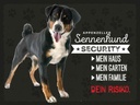Holzschild 30x40 cm Sennenhund Security mein Haus Tier Haustier