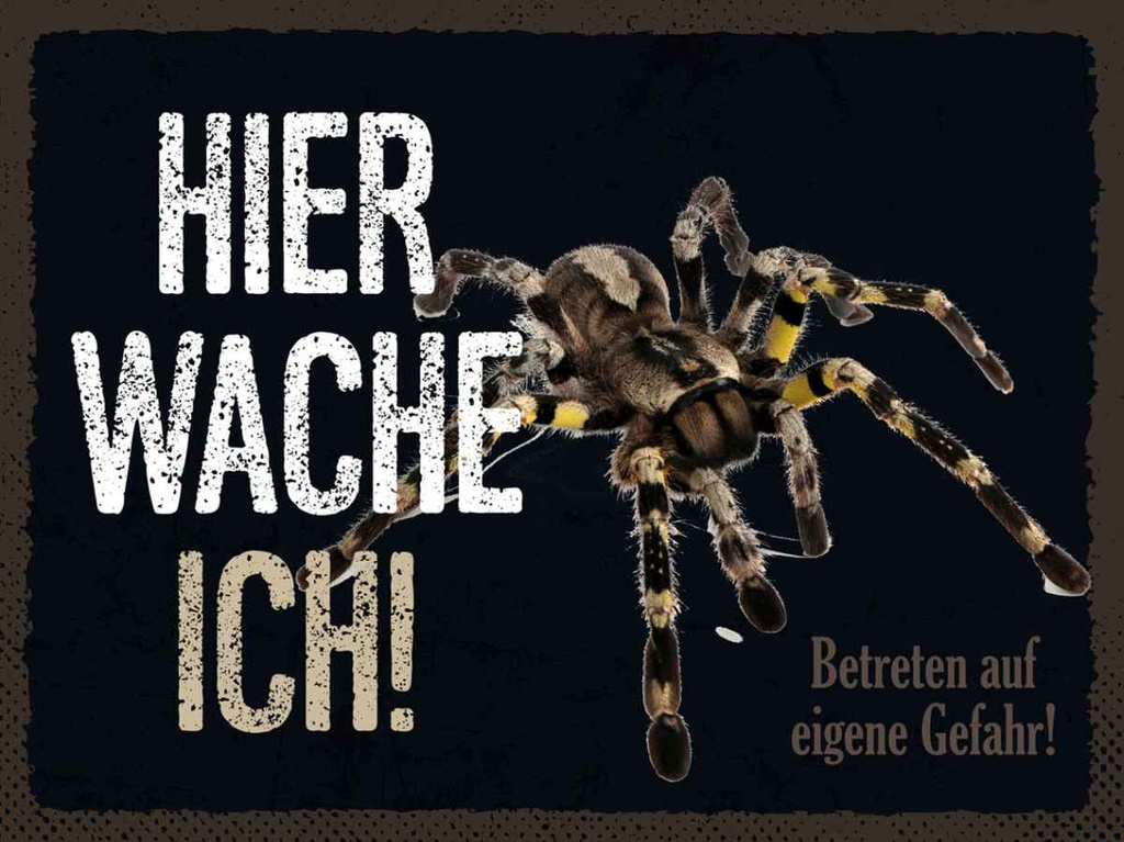 Holzschild 30x40 cm Spinne hier wache ich eigene Gefahr Spruch Zitat
