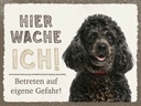 Holzschild 30x40 cm Pudel hier wache eigene Gefahr Tier Haustier