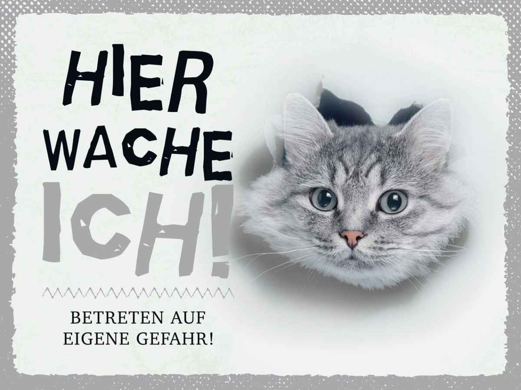 Holzschild 30x40 cm Katze hier wache eigene Gefahr Tier Haustier