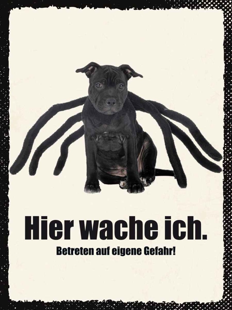 Holzschild 40x30 cm Hund hier wache ich eigene Gefahr Tier Haustier