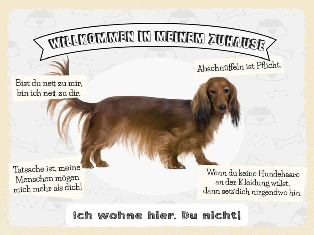 Holzschild 30x40 cm Tiere Hund ich wohne hier du nicht Tier Haustier