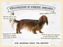Holzschild 30x40 cm Tiere Hund ich wohne hier du nicht Tier Haustier