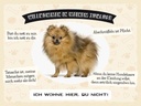 Holzschild 30x40 cm Tiere Spitz willkommen wohne hier Tier Haustier