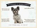 Holzschild 30x40 cm Tiere Yorkshire Terriere willkommen Tier Haustier