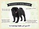 Holzschild 30x40 cm Tiere Mops willkommen Zuhause Tier Haustier