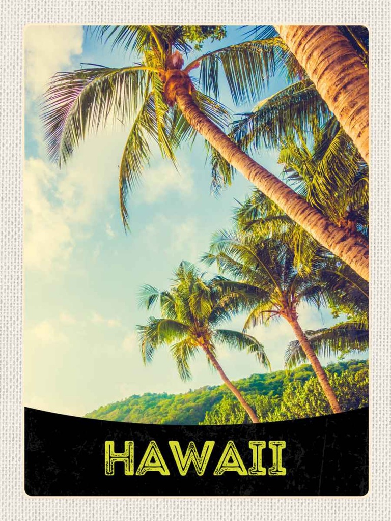 Holzschild 40x30 cm Hawai Insel Strand Palmen Meer Bildmotiv Reisemotiv Amerika USA