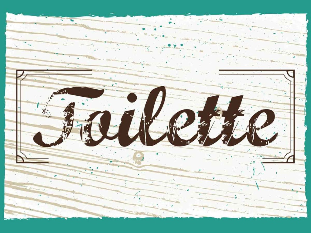 Holzschild 30x40 cm Toilette blau braun Warnschild Hinweisschild