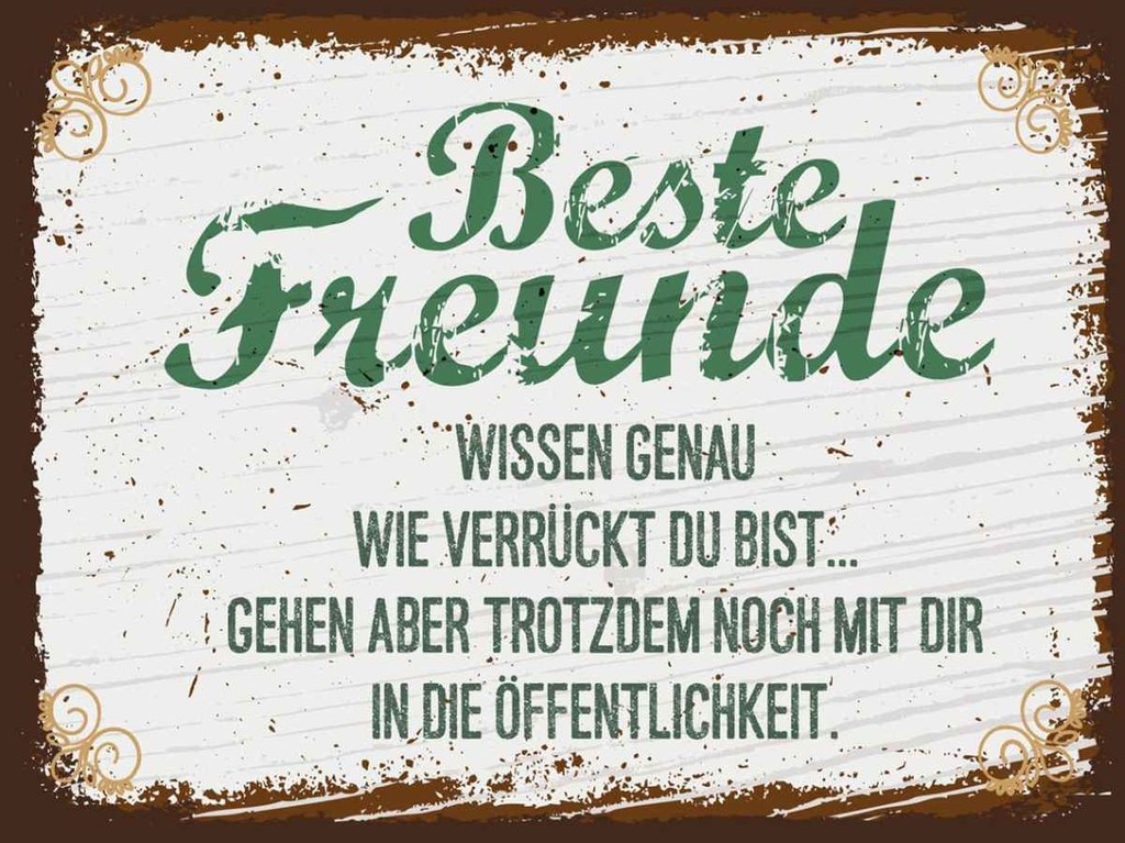 Holzschild 30x40 cm Beste Freunde wissen grün braun