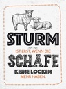 Holzschild 40x30 cm Sturm ist erst, wenn Schafe weiß Spruch Zitat