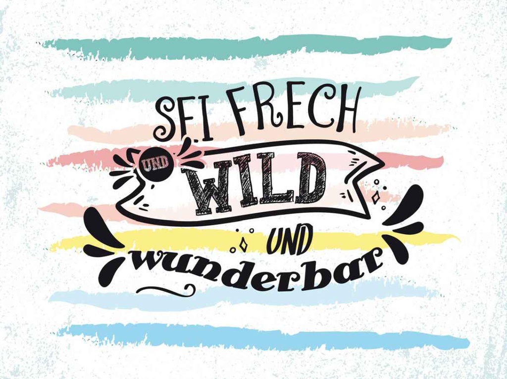 Holzschild 30x40 cm sei frech wild wunderbar Dekoration