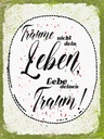 Holzschild 40x30 cm träume nicht dein Leben lebe Traum Dekoration