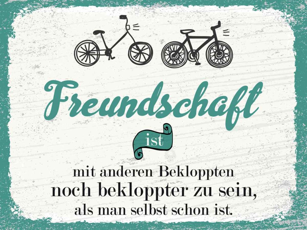 Holzschild 30x40 cm Freundschaft noch bekloppter sein Spruch Zitat