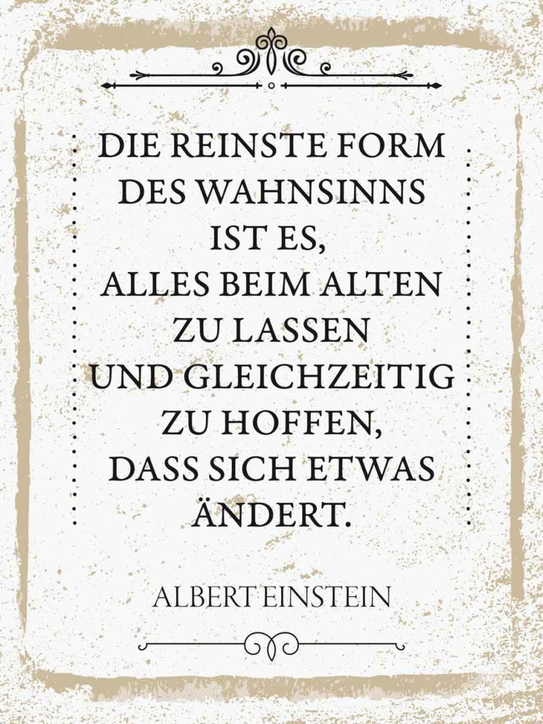 Holzschild 40x30 cm Einstein reinste Form Wahnsinns Spruch Zitat