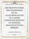 Holzschild 40x30 cm Einstein reinste Form Wahnsinns Spruch Zitat