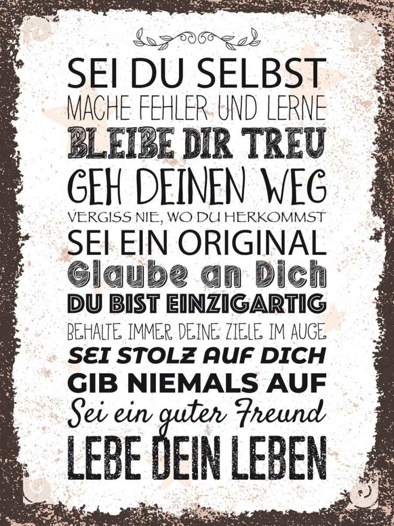 Holzschild 40x30 cm Sei du selbst mache Fehler lerne Spruch Zitat