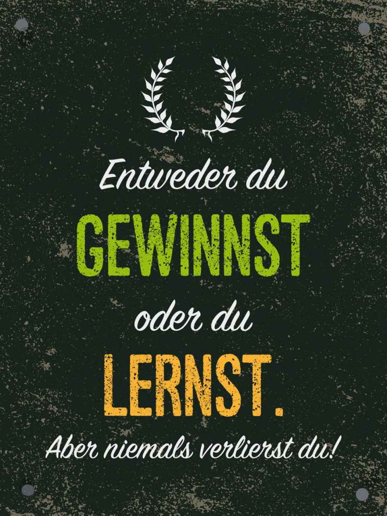Holzschild 40x30 cm Entweder du gewinnst oder lernst Spruch Zitat