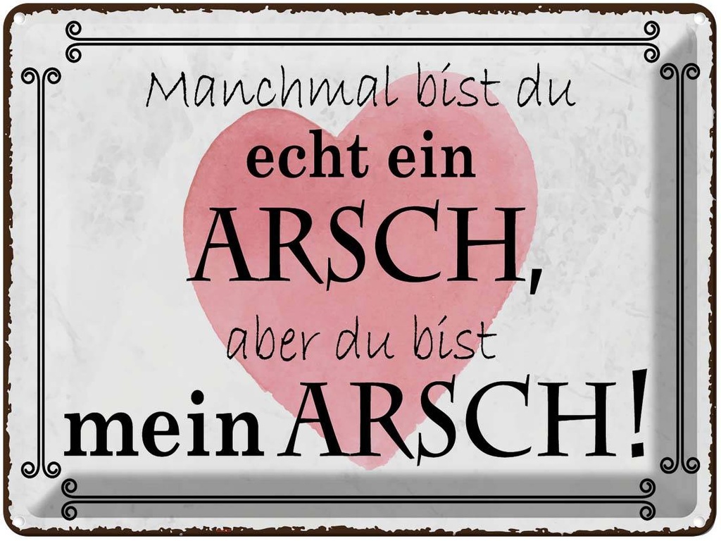 Blechschild 30x40 cm manchmal bist du ein ARSCH aber Spruch Zitat