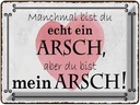 Blechschild 30x40 cm manchmal bist du ein ARSCH aber Spruch Zitat