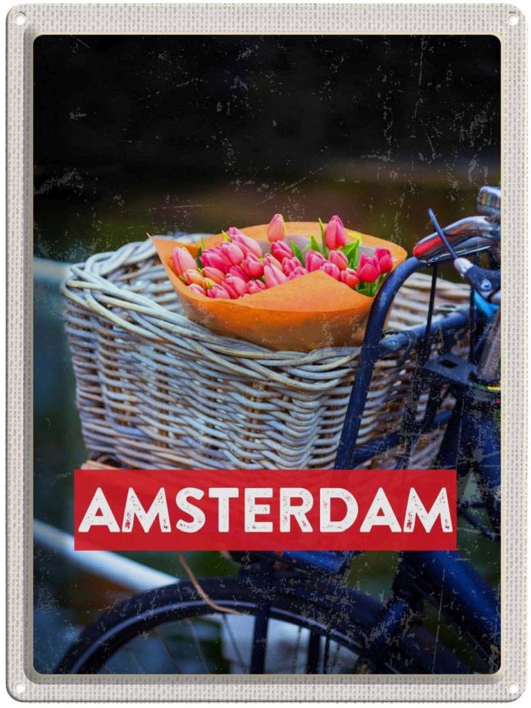 Blechschild 40x30 cm Retro Amsterdam Tulpen Fahrrad Bildmotiv Reisemotiv Abenteuer Reisen Europa Urlaub
