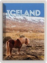 Blechschild 40x30 cm Iceland Pony icelandic horse Bildmotiv Reisemotiv Abenteuer Reisen Europa Urlaub