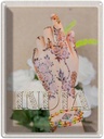 Blechschild 40x30 cm Indien Henna Hand Tradition Blume Bildmotiv Reisemotiv Abenteuer Reisen Urlaub