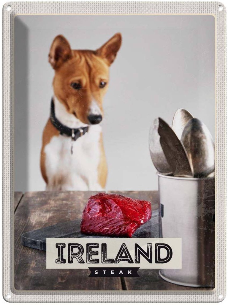 Blechschild 40x30 cm Irland Europa Urlaub Steak Hund Insel Bildmotiv Reisemotiv Abenteuer Reisen