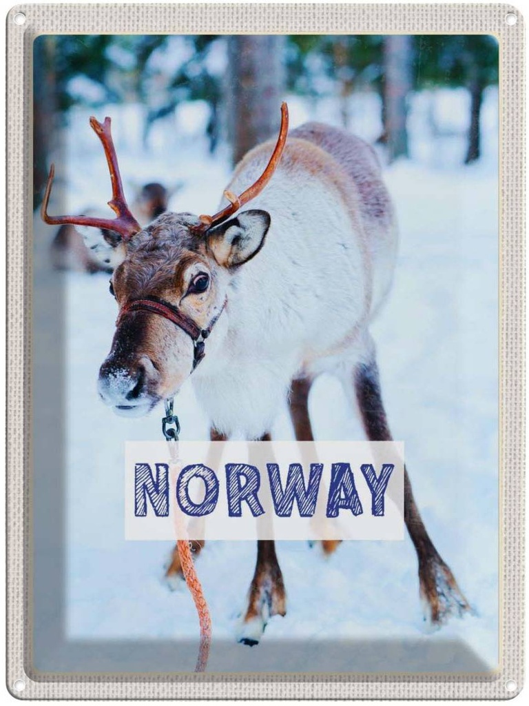 Blechschild 40x30 cm Norwegen Hirsch Winterzeit Schnee Bildmotiv Reisemotiv Abenteuer Reisen Europa Urlaub