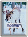 Blechschild 40x30 cm Norwegen Hirsch Winterzeit Schnee Bildmotiv Reisemotiv Abenteuer Reisen Europa Urlaub