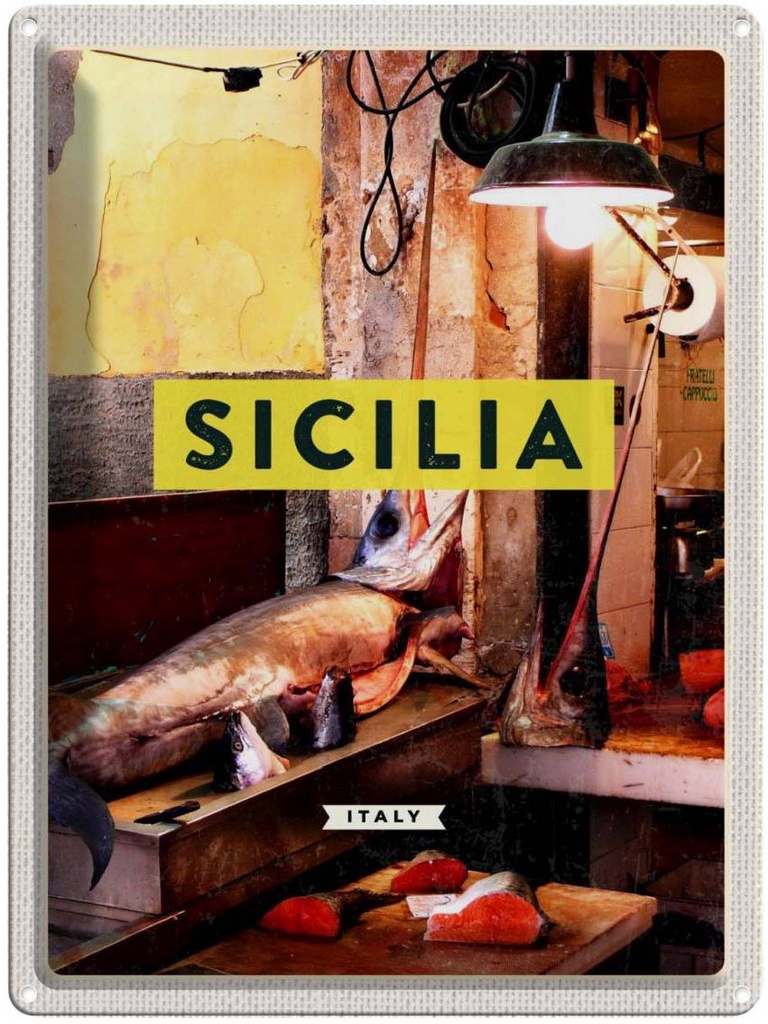 Blechschild 40x30 cm Sizilien Italien Fisch Hohrnhecht Bildmotiv Reisemotiv Abenteuer Reisen Europa Urlaub