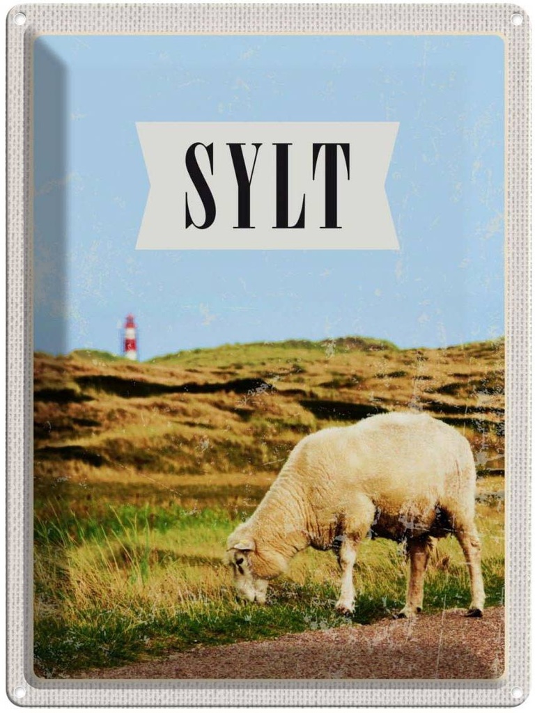 Blechschild 40x30 cm Sylt Stadt Urlaub Urlaubsziel Wiese Bildmotiv Reisemotiv Abenteuer Reisen Straße